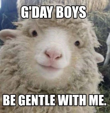 gday-boys-be-gentle-with-me