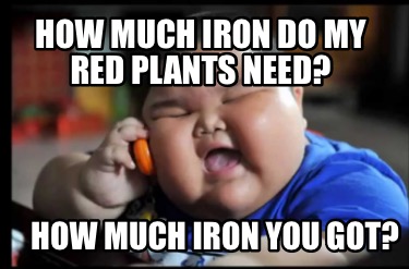 how-much-iron-do-my-red-plants-need-how-much-iron-you-got