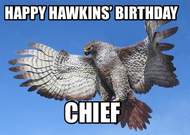 happy-hawkins-birthday-chief