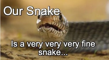 our-snake-is-a-very-very-very-fine-snake