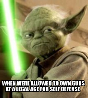 when-were-allowed-to-own-guns-at-a-legal-age-for-self-defense