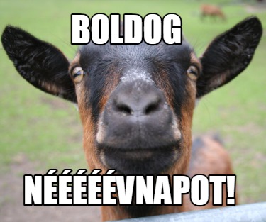 boldog-nvnapot43