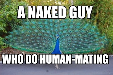 a-naked-guy-who-do-human-mating