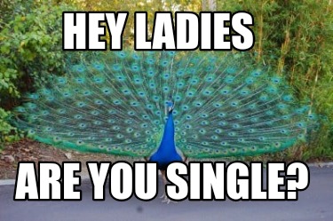 hey-ladies-are-you-single
