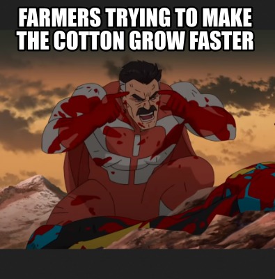 farmers-trying-to-make-the-cotton-grow-faster