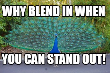 why-blend-in-when-you-can-stand-out