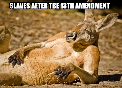slaves-after-tbe-13th-amendment