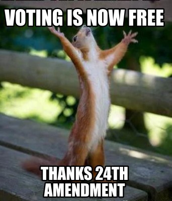 voting-is-now-free-thanks-24th-amendment