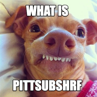 what-is-pittsubshrf