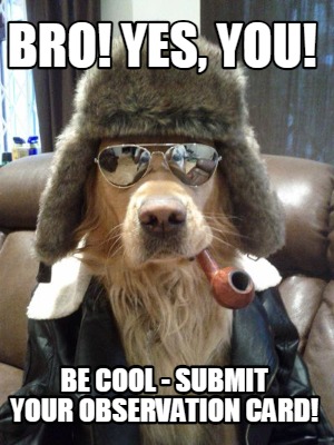bro-yes-you-be-cool-submit-your-observation-card