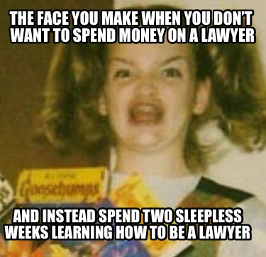 the-face-you-make-when-you-dont-want-to-spend-money-on-a-lawyer-and-instead-spen5