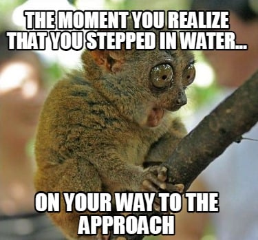 the-moment-you-realize-that-you-stepped-in-water...-on-your-way-to-the-approach