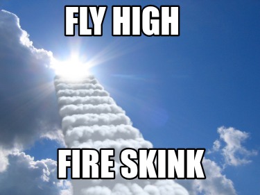 fly-high-fire-skink