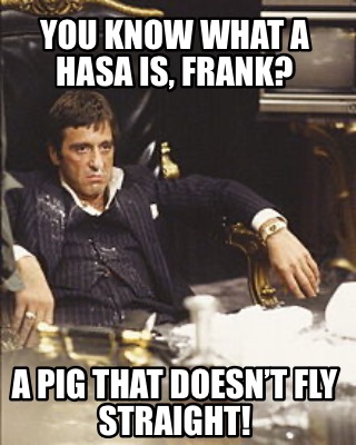 you-know-what-a-hasa-is-frank-a-pig-that-doesnt-fly-straight
