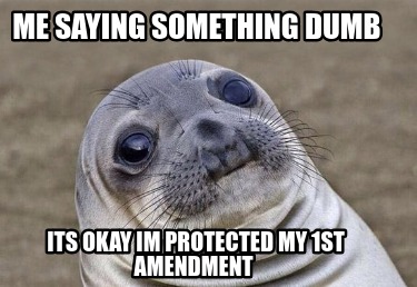 me-saying-something-dumb-its-okay-im-protected-my-1st-amendment