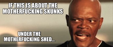 if-this-is-about-the-motherfucking-skunks-under-the-motherfucking-shed