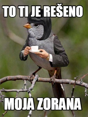 to-ti-je-reeno-moja-zorana