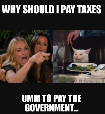 why-should-i-pay-taxes-umm-to-pay-the-government