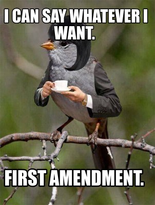 i-can-say-whatever-i-want.-first-amendment