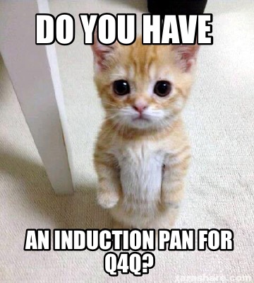 do-you-have-an-induction-pan-for-q4q