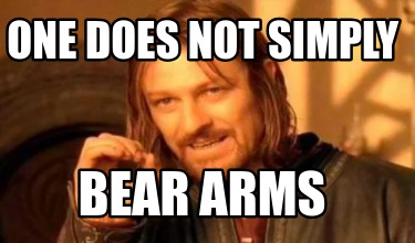 one-does-not-simply-bear-arms