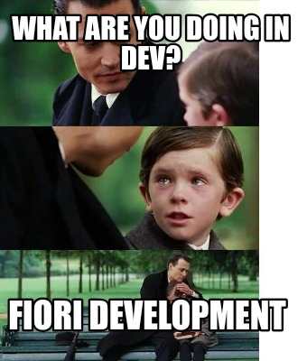 what-are-you-doing-in-dev-fiori-development