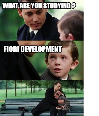 what-are-you-studying-fiori-development