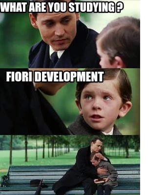 what-are-you-studying-fiori-development6