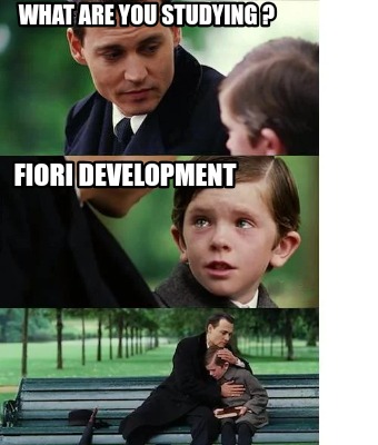 what-are-you-studying-fiori-development9