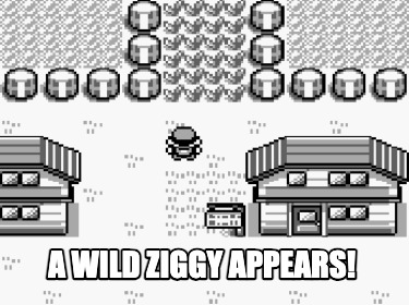 a-wild-ziggy-appears