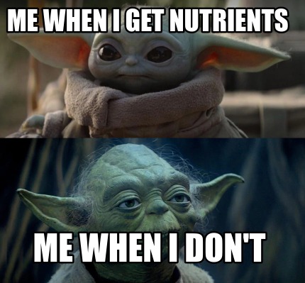 me-when-i-get-nutrients-me-when-i-dont