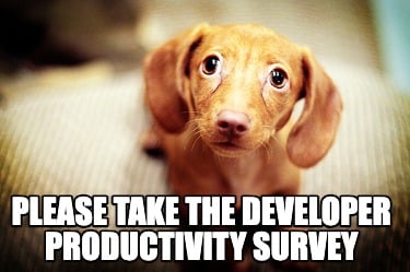 please-take-the-developer-productivity-survey