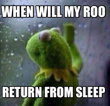 when-will-my-roo-return-from-sleep