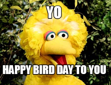 yo-happy-bird-day-to-you