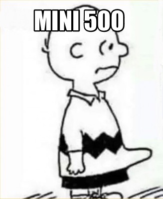 mini-500