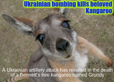ukrainian-bombing-kills-beloved-kangaroo-a-ukrainian-artillery-attack-has-result