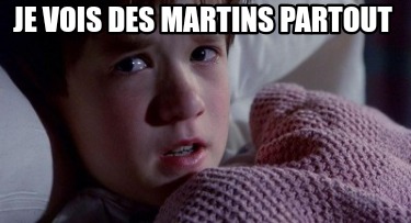 je-vois-des-martins-partout