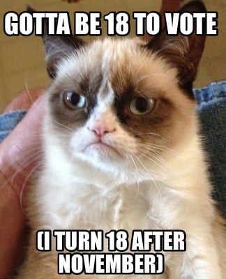 gotta-be-18-to-vote-i-turn-18-after-november