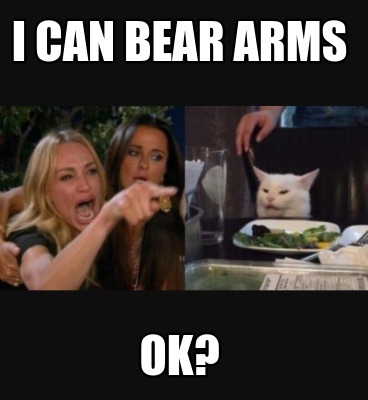 i-can-bear-arms-ok