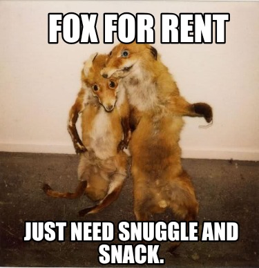 fox-for-rent-just-need-snuggle-and-snack