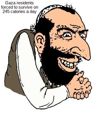 gaza-residents-forced-to-survive-on-245-calories-a-day