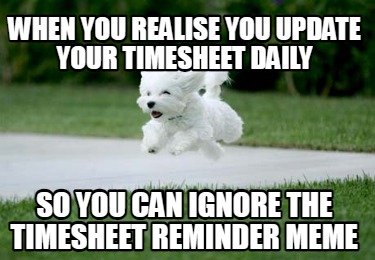 when-you-realise-you-update-your-timesheet-daily-so-you-can-ignore-the-timesheet