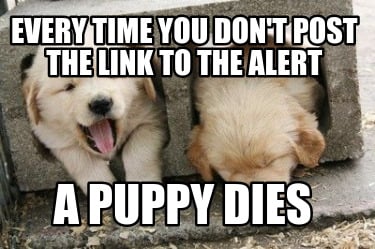 every-time-you-dont-post-the-link-to-the-alert-a-puppy-dies