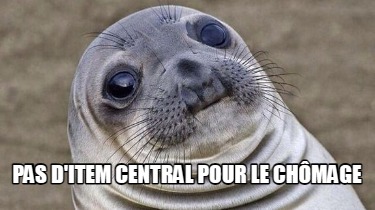 pas-ditem-central-pour-le-chmage