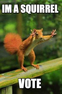 im-a-squirrel-vote