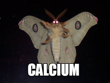 calcium