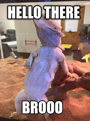 hello-there-brooo