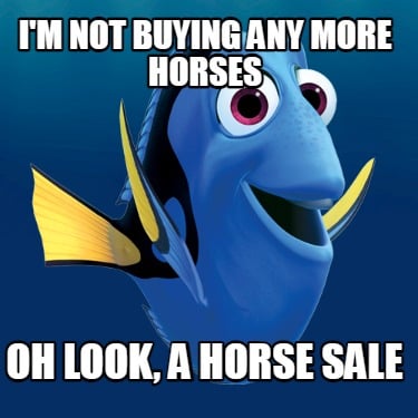 im-not-buying-any-more-horses-oh-look-a-horse-sale