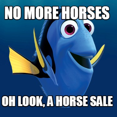 no-more-horses-oh-look-a-horse-sale