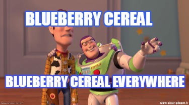 blueberry-cereal-blueberry-cereal-everywhere